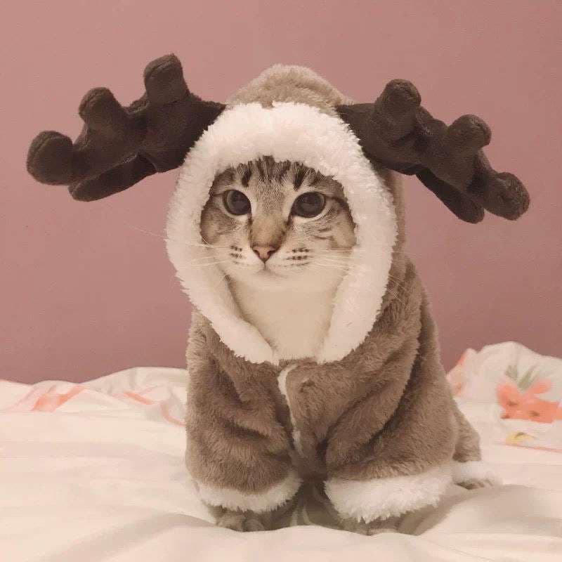 猫服  コスプレ | もこもこトナカイ風猫用コスチューム