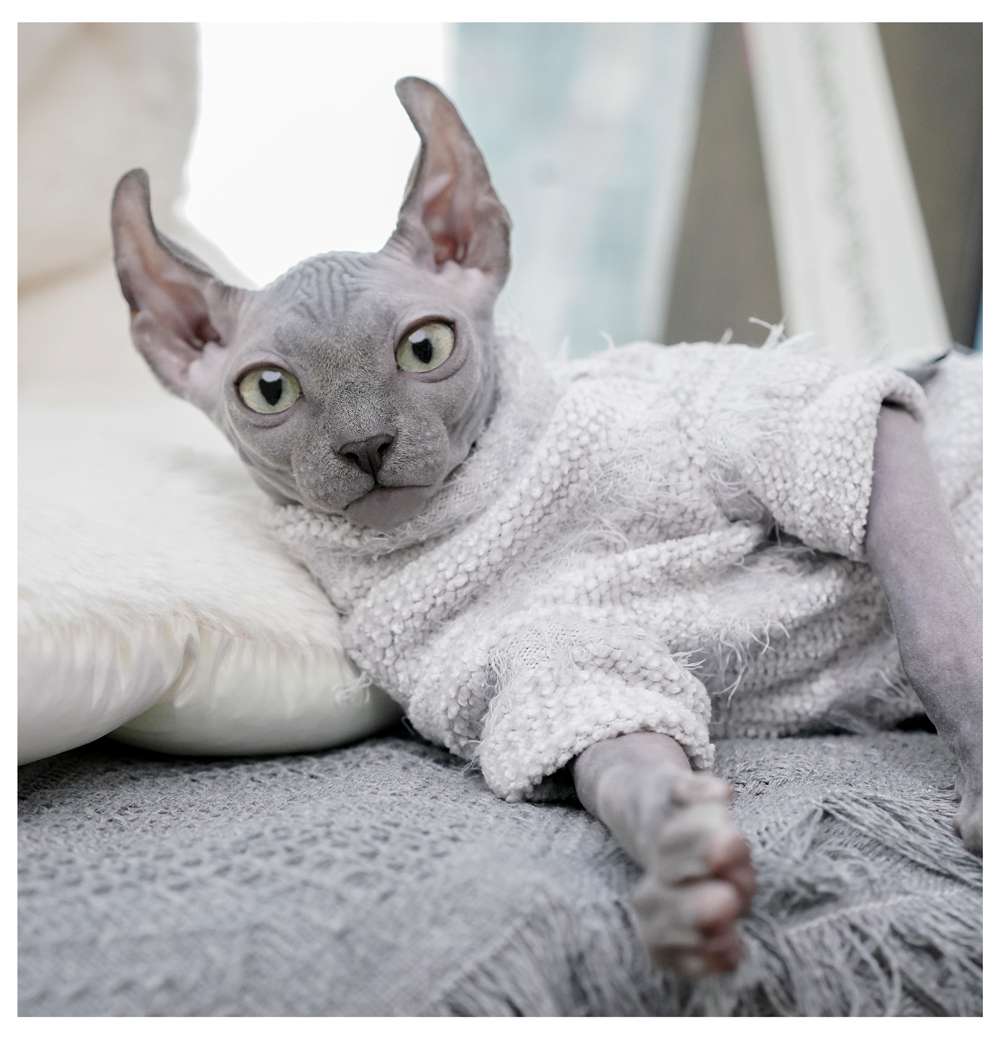 猫服  スフィンクス | もこもこシャツで暖かスフィンクス