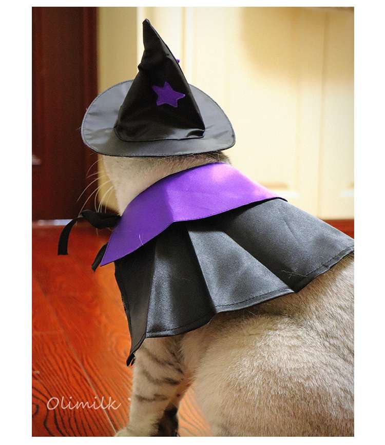 猫服  コスプレ | ハロウィン魔法使い猫コスチュームセット