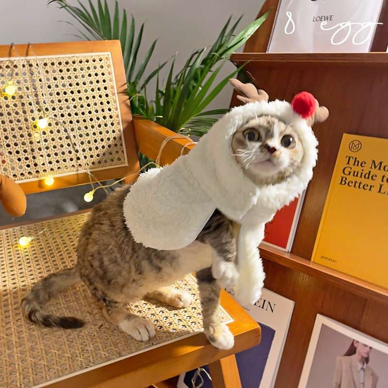 猫服  コスプレ | ペット用ホリデーコスチューム3点セット