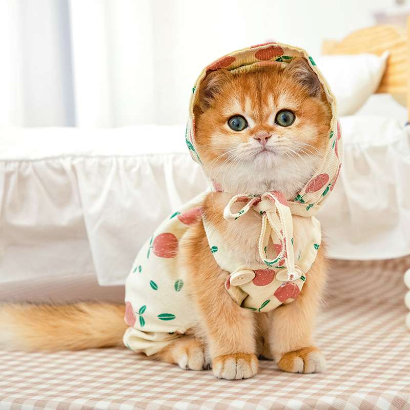 猫服  洋服 | ふわもこ果物柄ねこちゃんロンパース