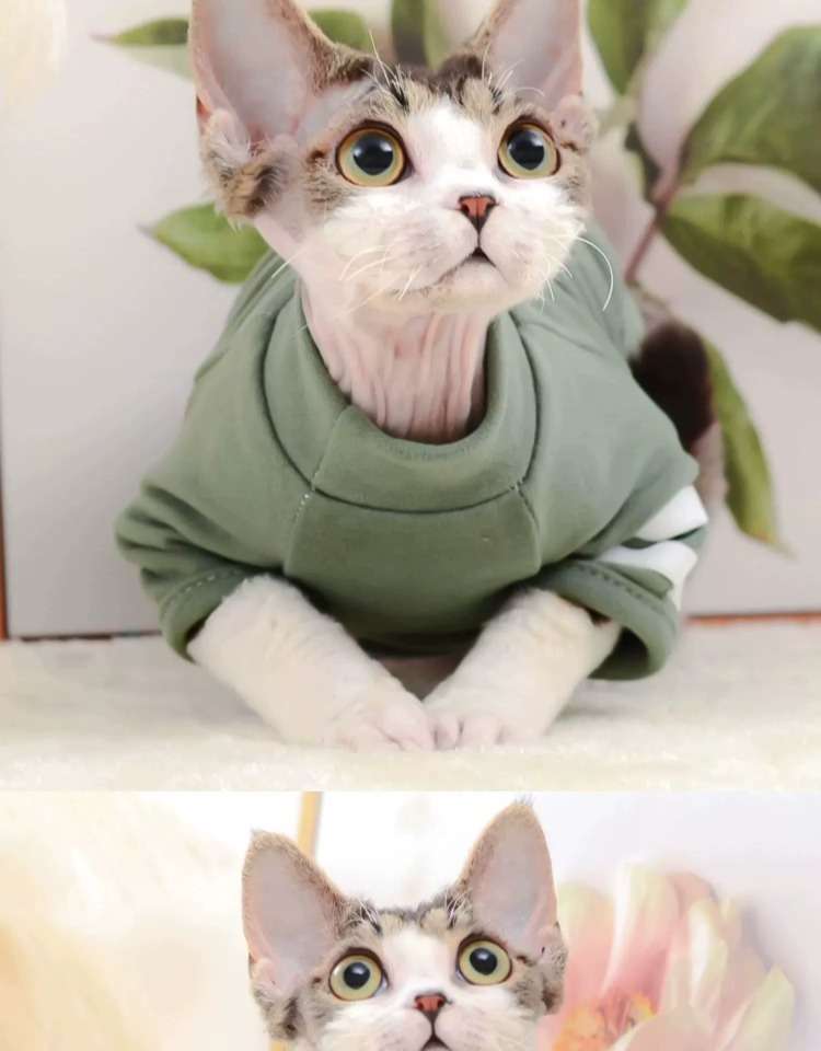 猫服  術後服 | 猫用術後服 コンフォートグリーン