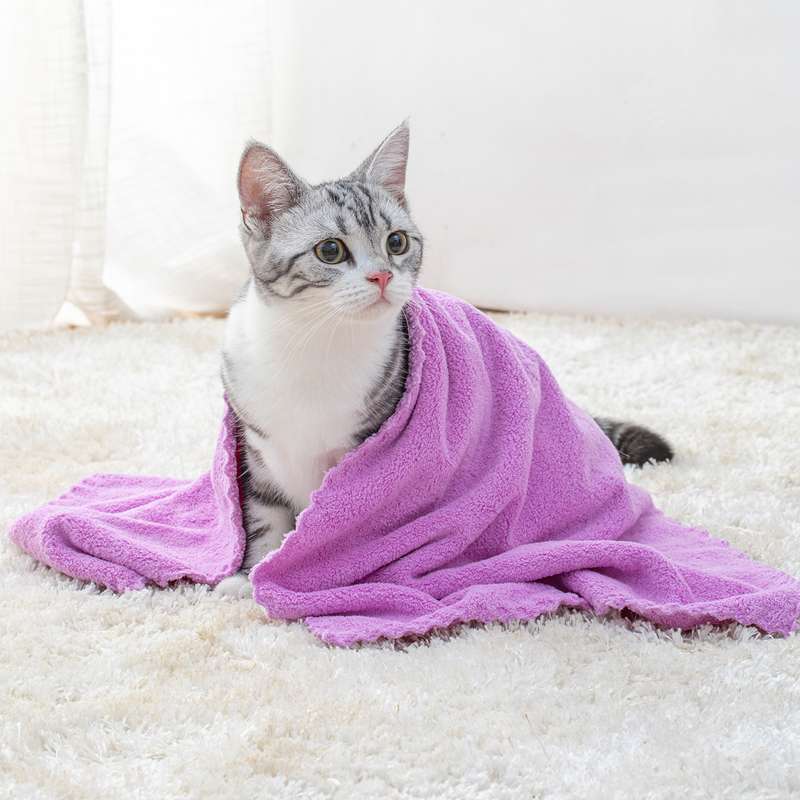 猫服  防寒服 | もこもこ猫ちゃんの暖かタオルポンチョ