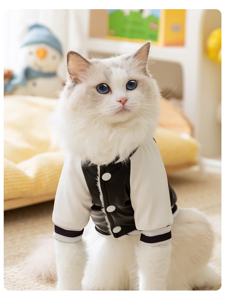 猫服洋服 くまちゃんプリントスタジャン