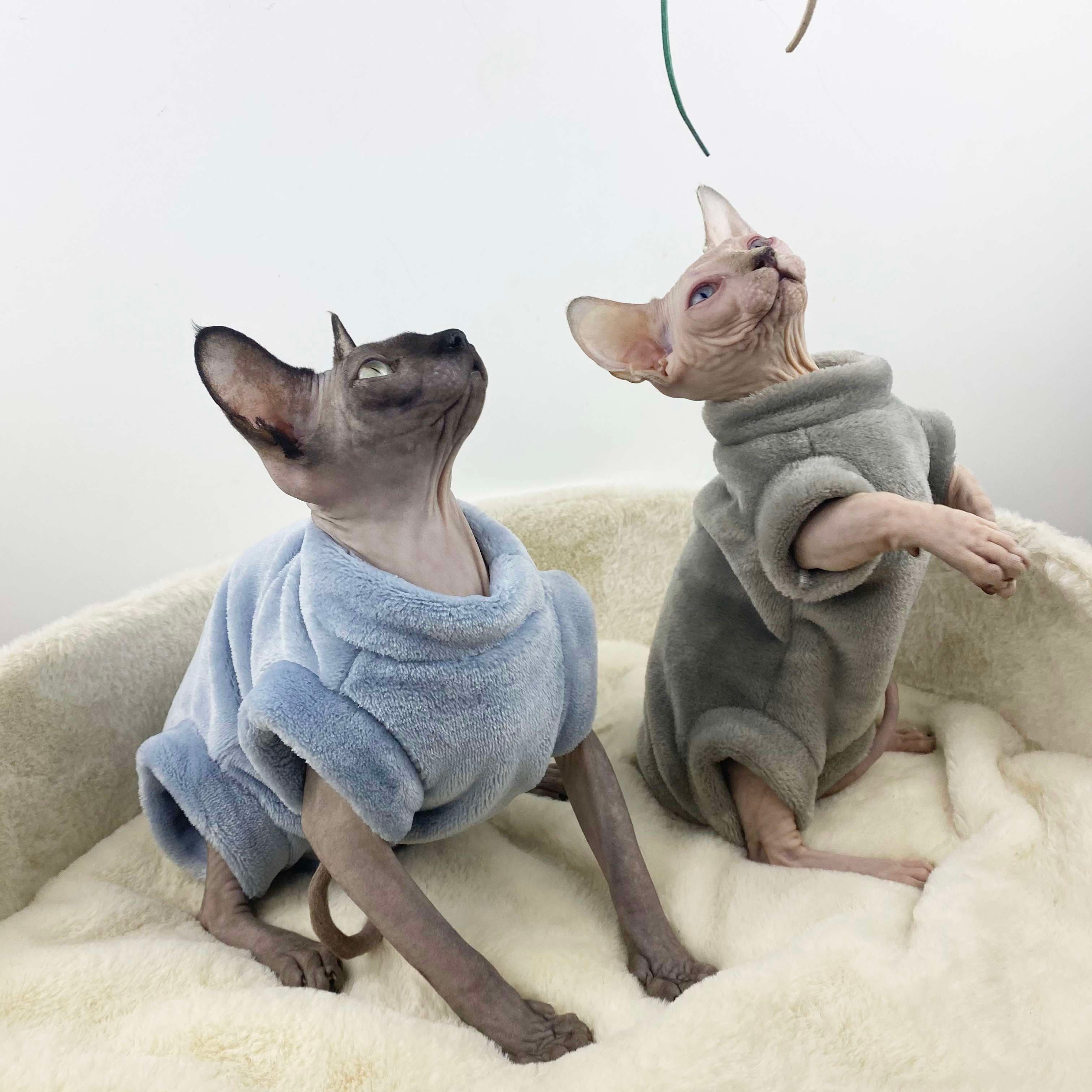 猫服  スフィンクス | スフィンキス猫用もこもこパーカー