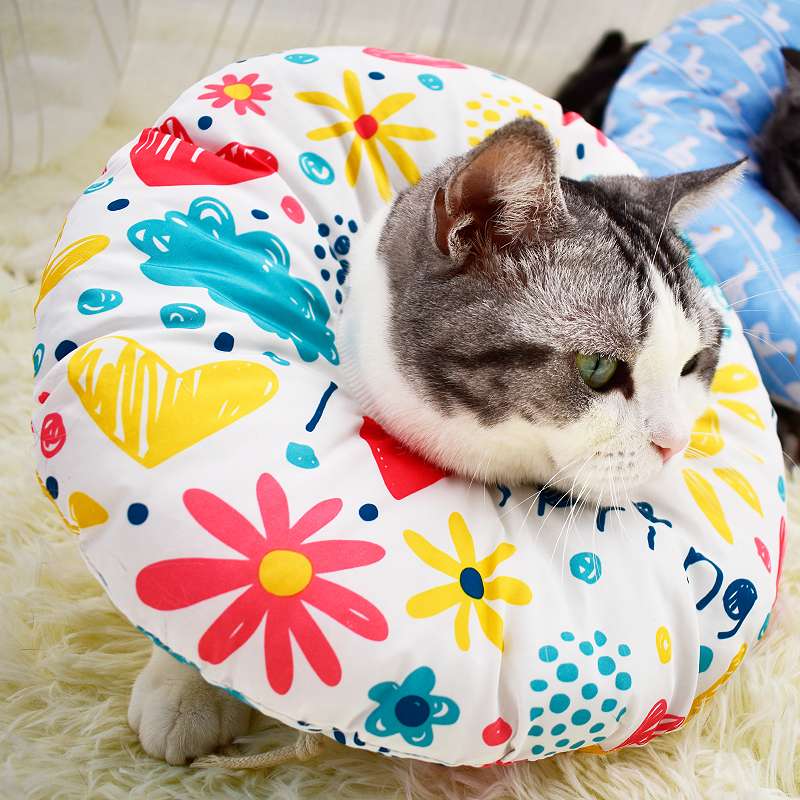 猫服 猫 エリザベスカラー | ふわもこペット用プリントエリザベスカラー