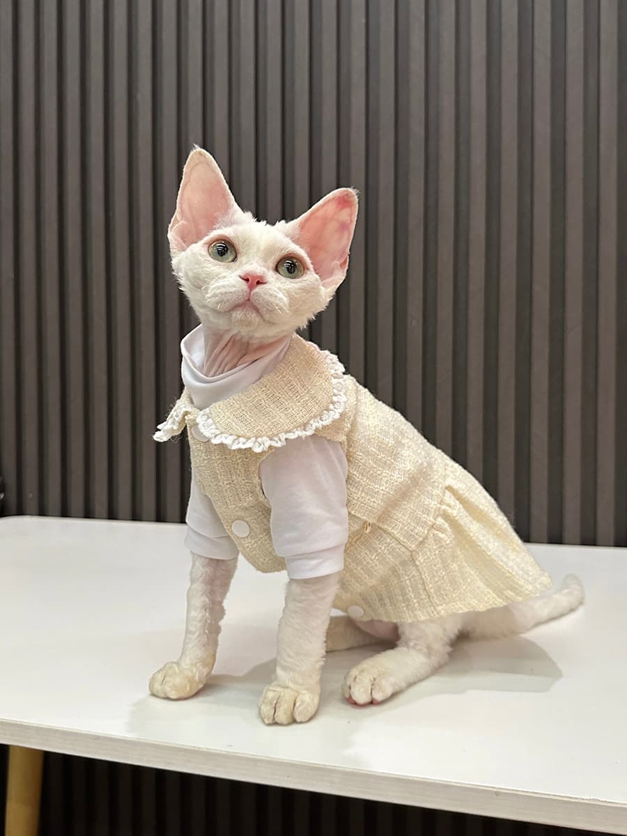 猫服  洋服 | うさぎの耳フリルワンピース