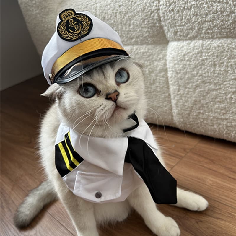 猫服  海の指揮官 ねこ艦長帽