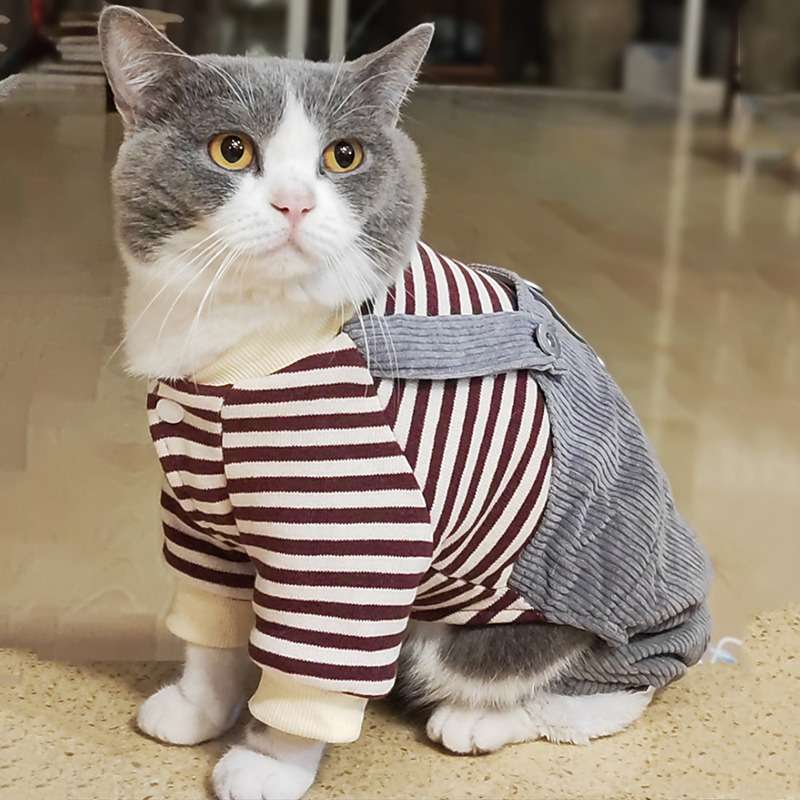 猫服  防寒服 | もこもこ猫ちゃんパーカー