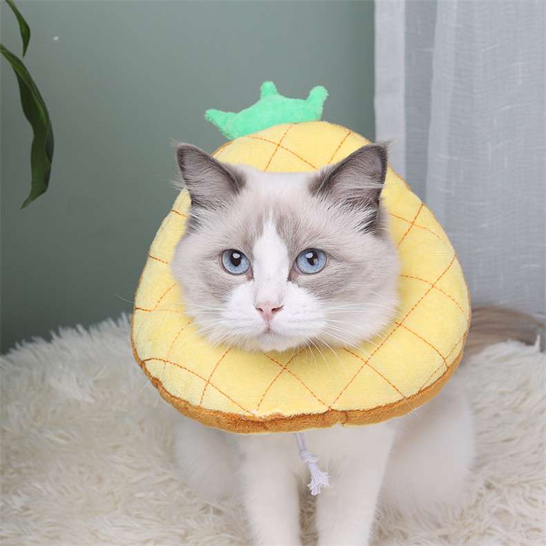 猫服 猫 エリザベスカラー | もふもふペット用食パンカラー