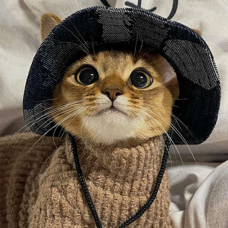 猫服  コスプレ | 猫用カウボーイハット&セーターセット