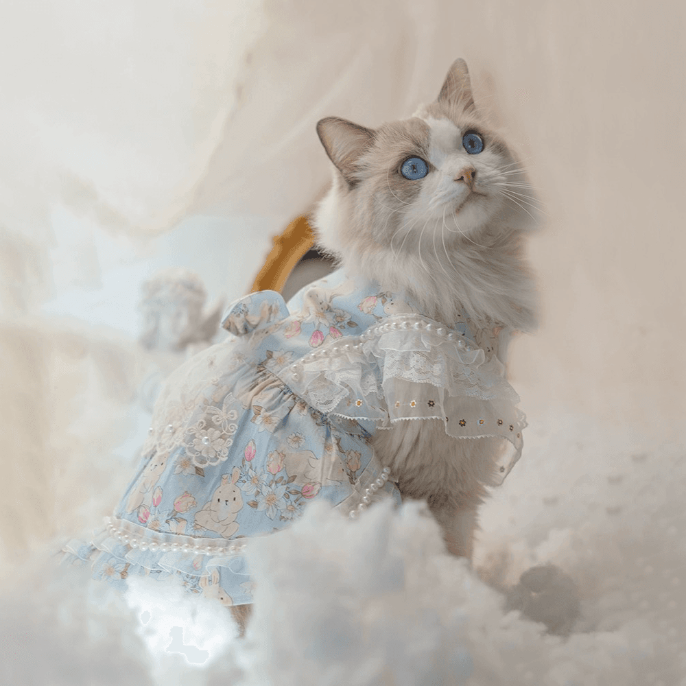 猫服  洋服 | ふわふわレースの猫用プリンセスドレス