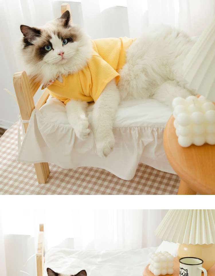 猫服  洋服 | ふわもこ猫ちゃんの季節のお洒落トップス