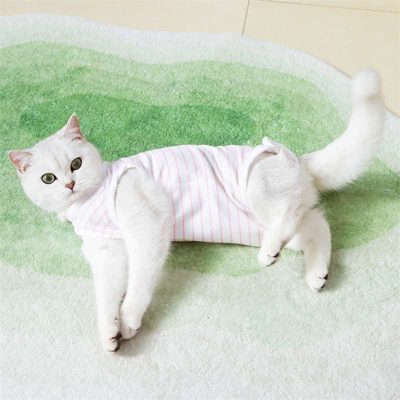 猫服  術後服 | ふわもこ猫ちゃん術後ウェア