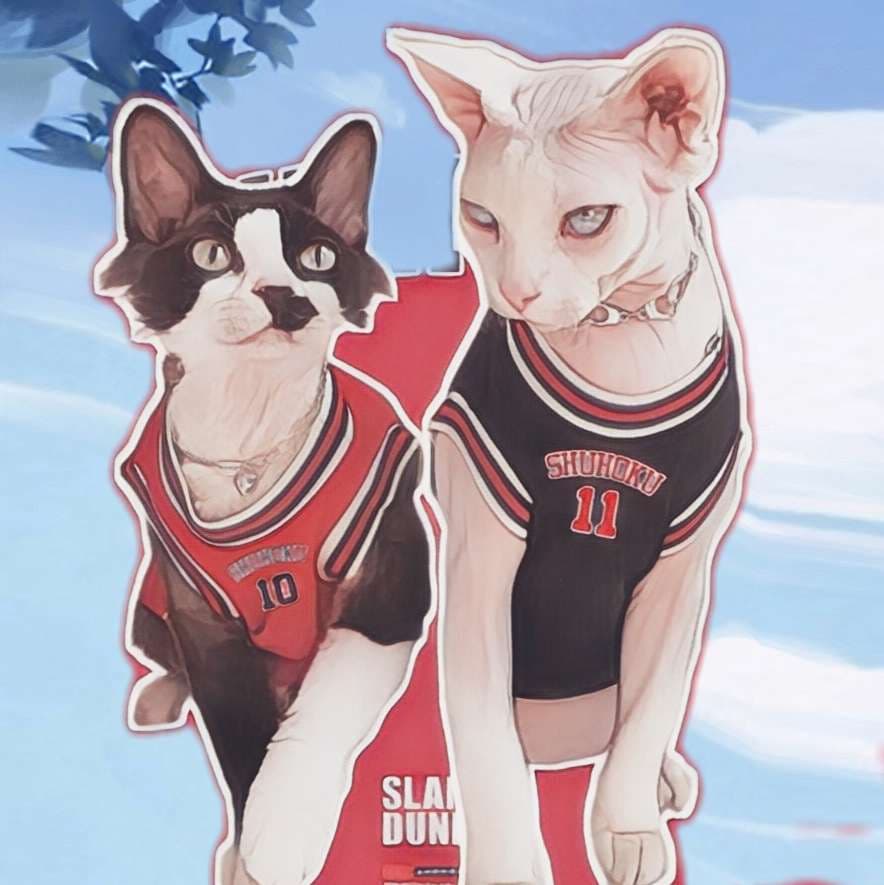 猫服  コスプレ | バスケ選手風ペット用ユニフォーム