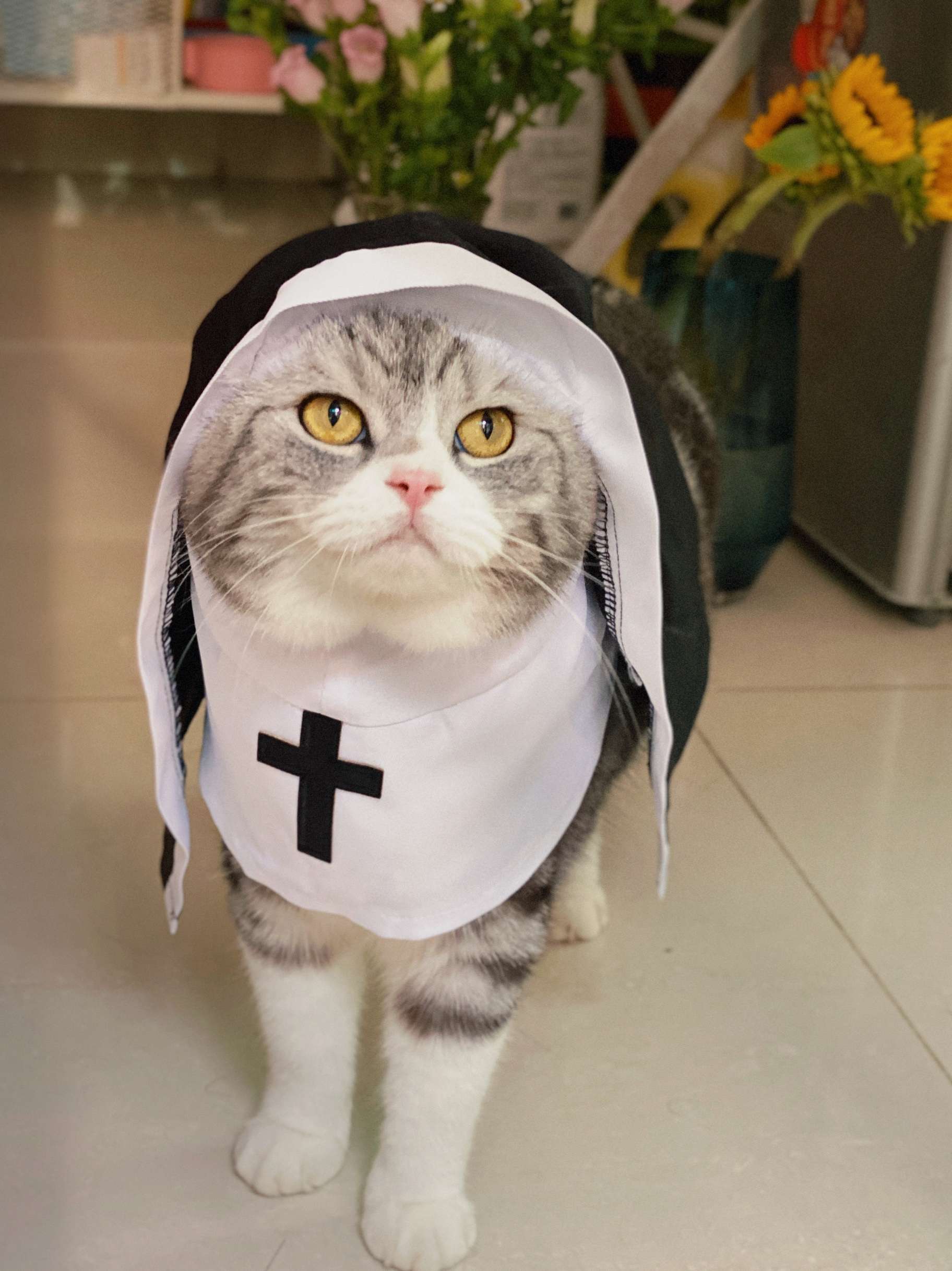 猫服  コスプレ | ねこ修道女コスチューム