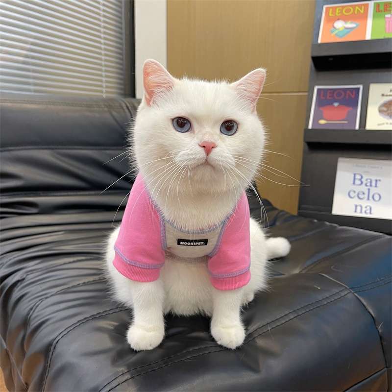 猫服  洋服 | ペット用おしゃれカジュアルウェア3点セット