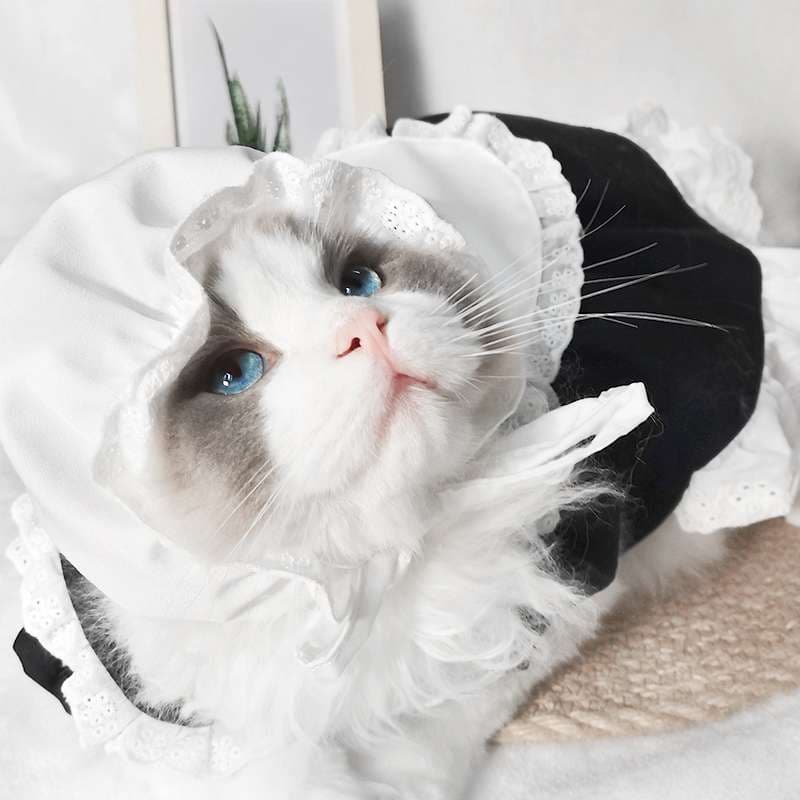 猫服  コスプレ | ふわもこ猫ちゃんメイド服