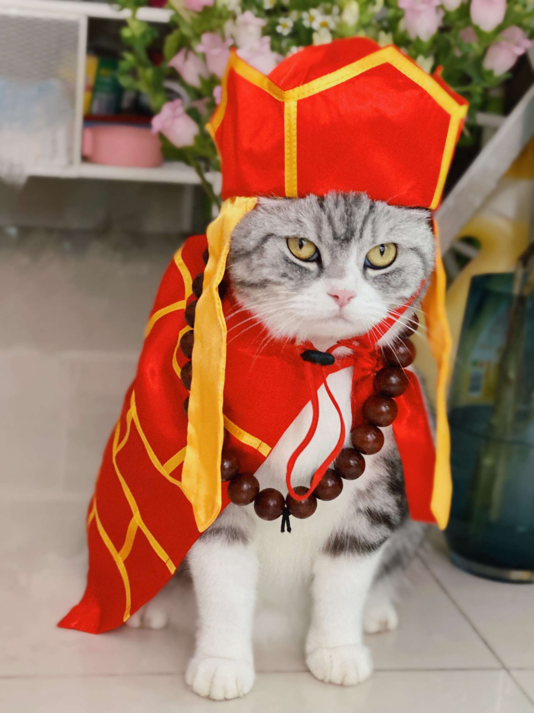 猫服  コスプレ | 福運招く僧侶風ペット着物