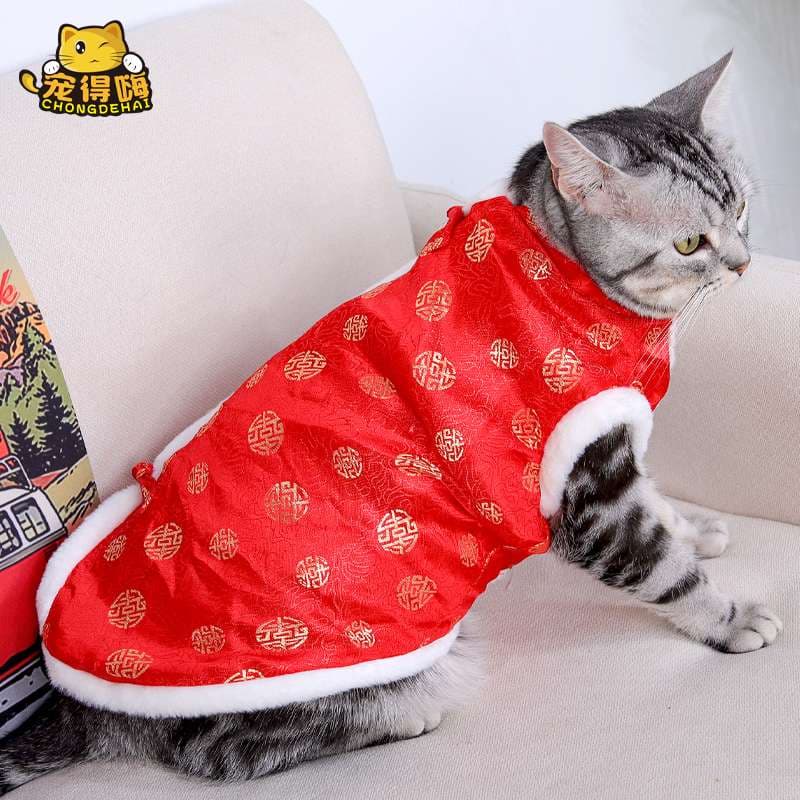 猫服  防寒服 | 福々招き猫のお正月マント