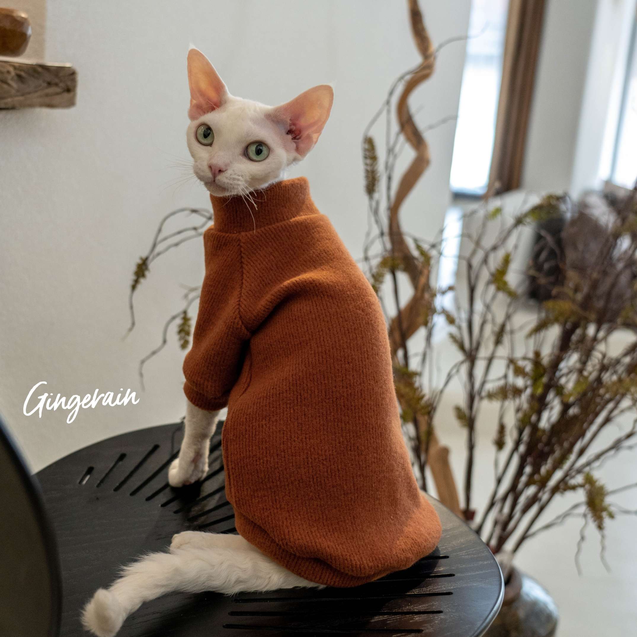 猫服  防寒服 | もこもこ猫ちゃんタートルネック