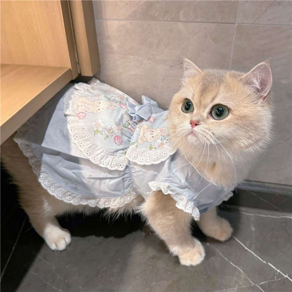 猫服  洋服 | ふわふわ姫様風キャットドレス