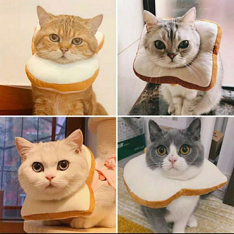 猫服 猫 エリザベスカラー | もふもふペット用食パンカラー