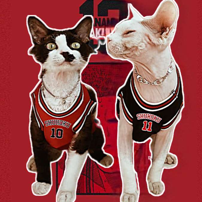 猫服  コスプレ | バスケ選手風ペット用ユニフォーム