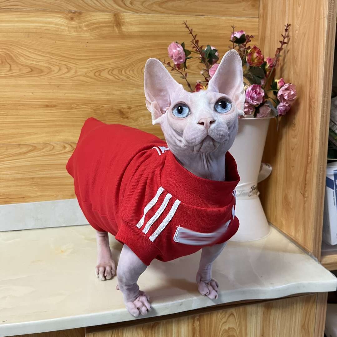 猫服  洋服 | スポーティーキャットウェア