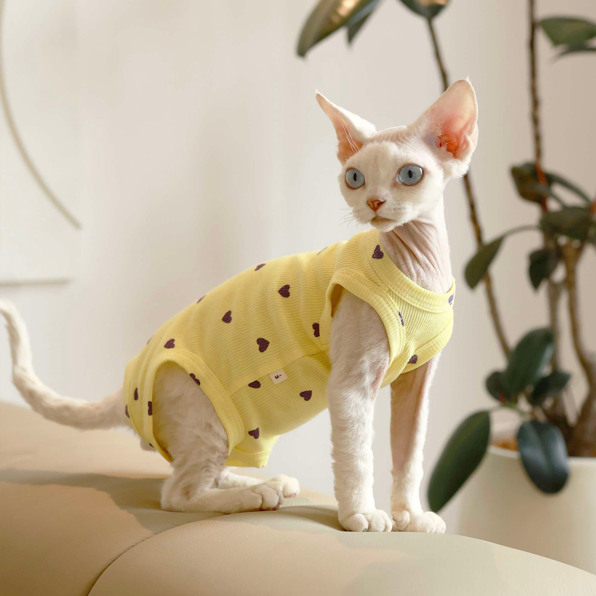 猫服  洋服 | ハートドット柄キャットウェア