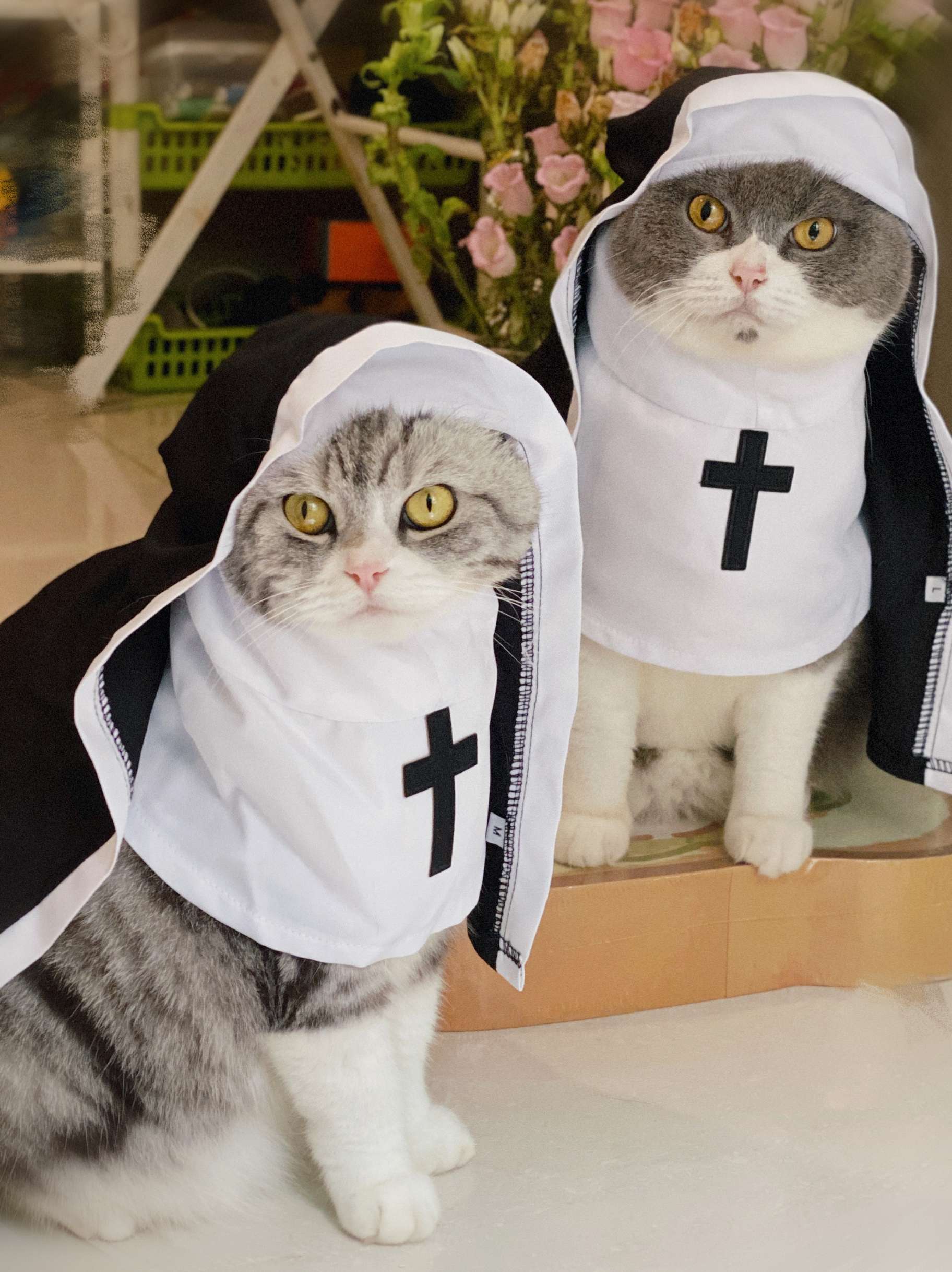 猫服  コスプレ | ねこ修道女コスチューム