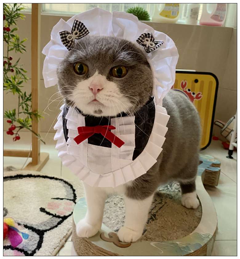 猫服  コスプレ | メイド風フリルエプロン猫用コスチューム