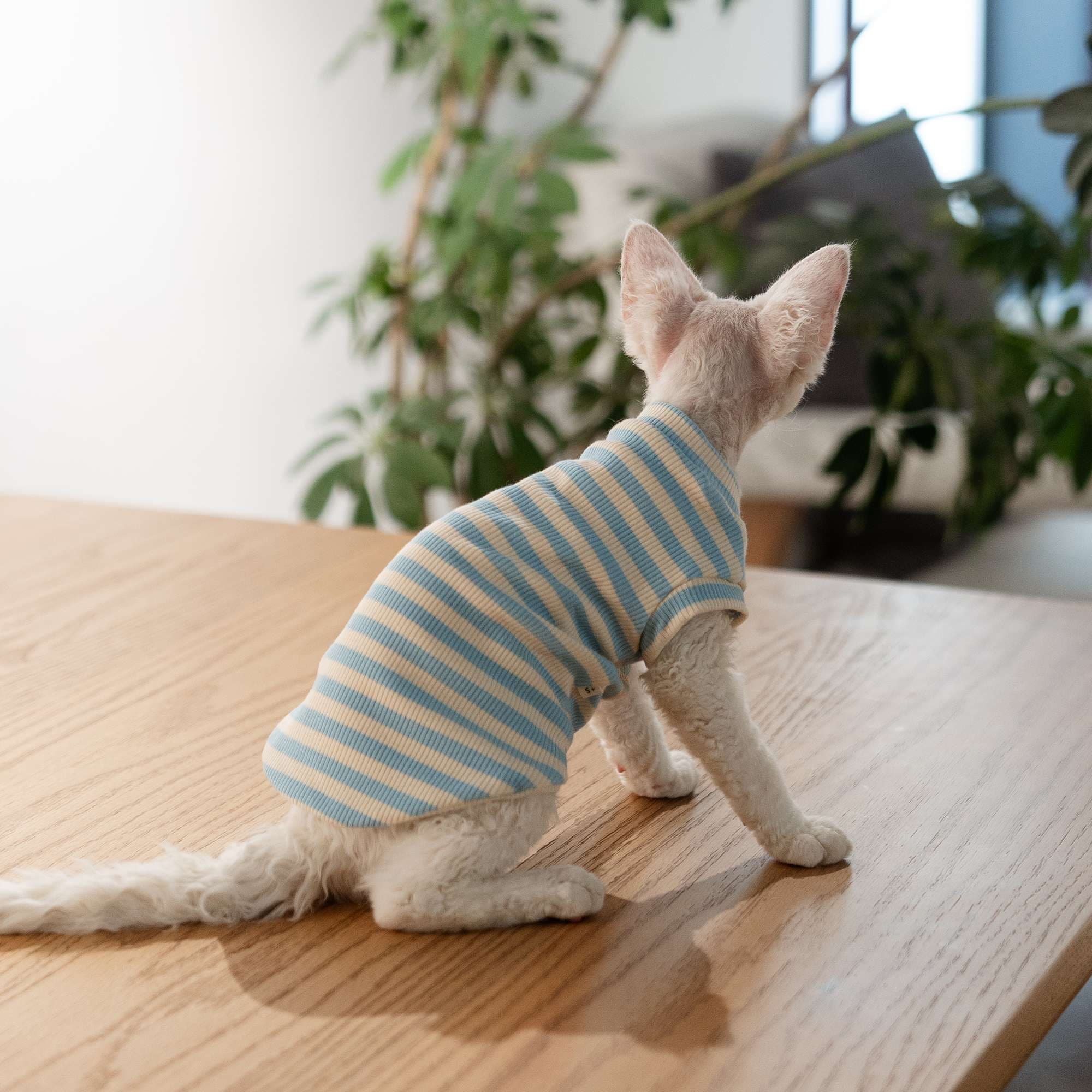 猫服  洋服 | 猫用やわらかリブニットウェア
