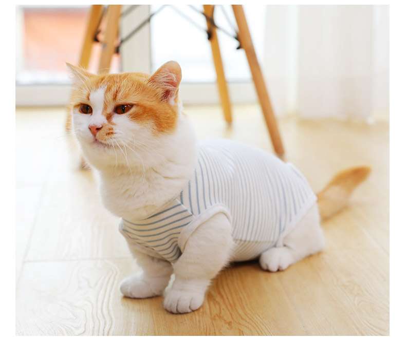 猫服  術後服 | 猫用ストライプ柄術後服快適ウェア