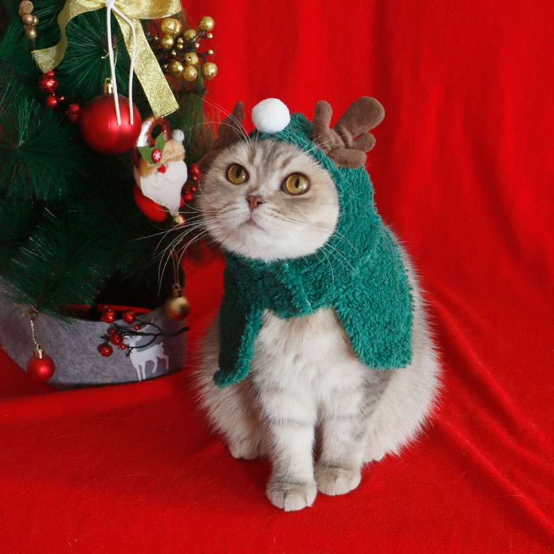 猫服  コスプレ | もふもふトナカイ猫ちゃんコスプレセット
