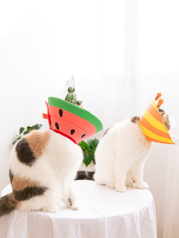 猫服 猫 エリザベスカラー | 涼やか夏野菜エリザベスカラー