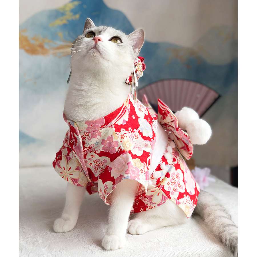 猫服  コスプレ | 和風花柄キャットきもの