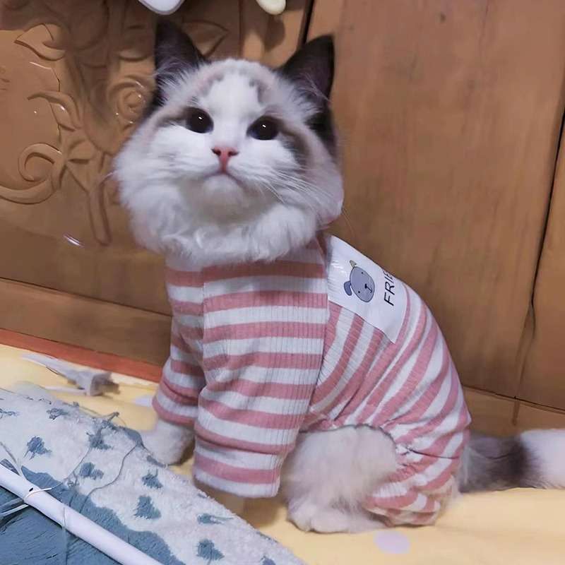 猫服  洋服 | 猫用ボーダー柄パジャマ