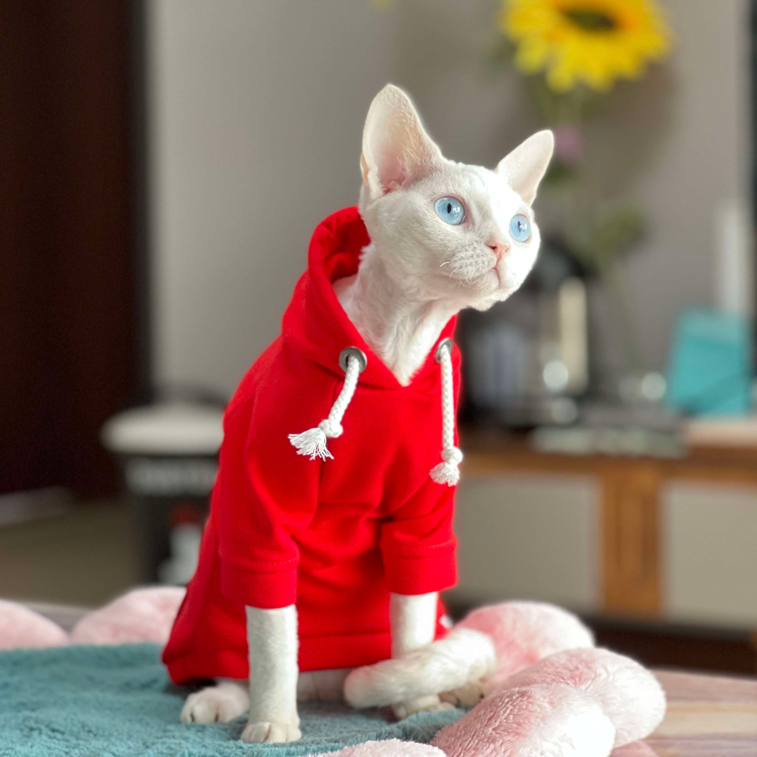猫服  防寒服 | ふわもこ猫ちゃんパーカー