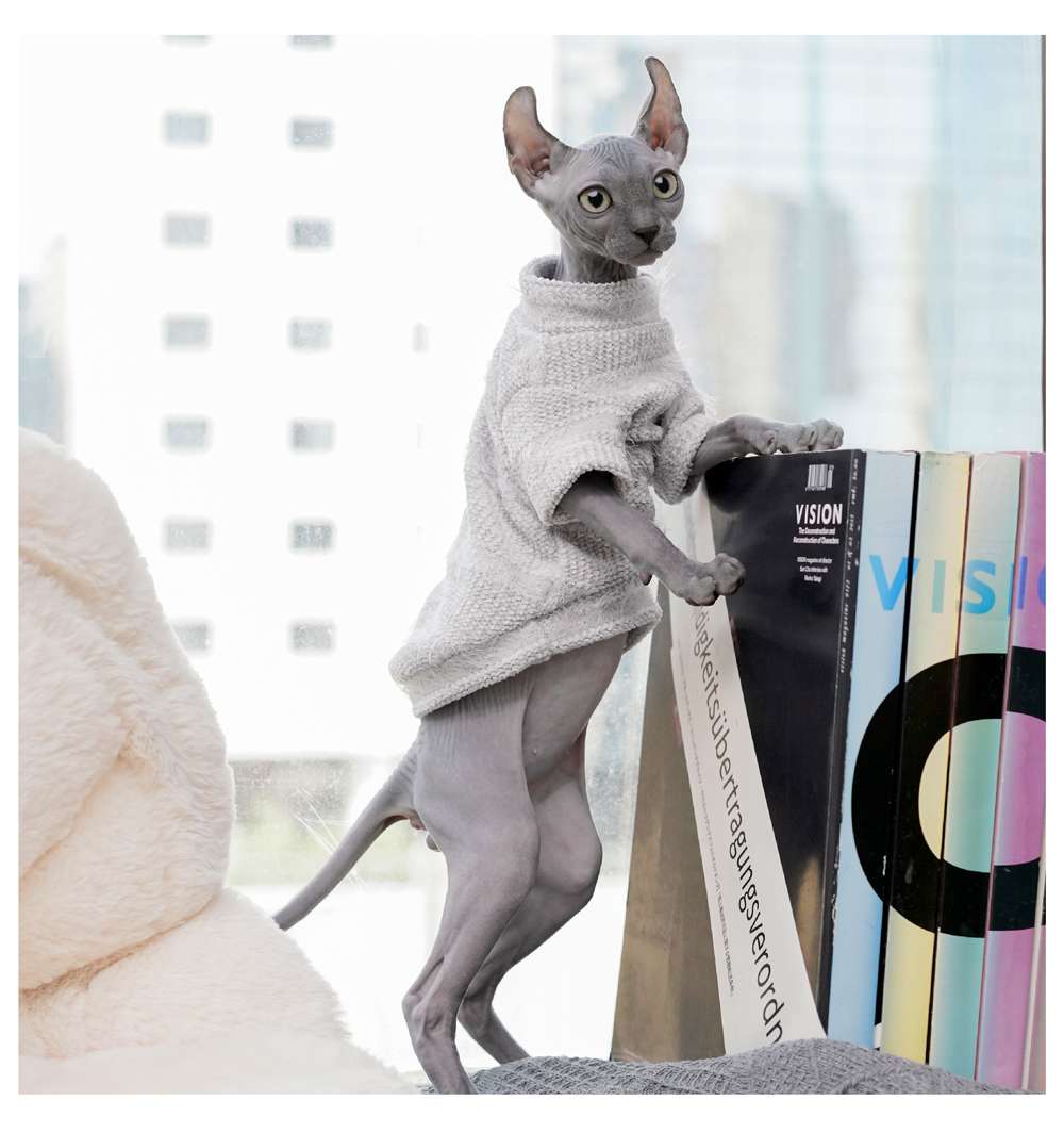 猫服  スフィンクス | もこもこシャツで暖かスフィンクス