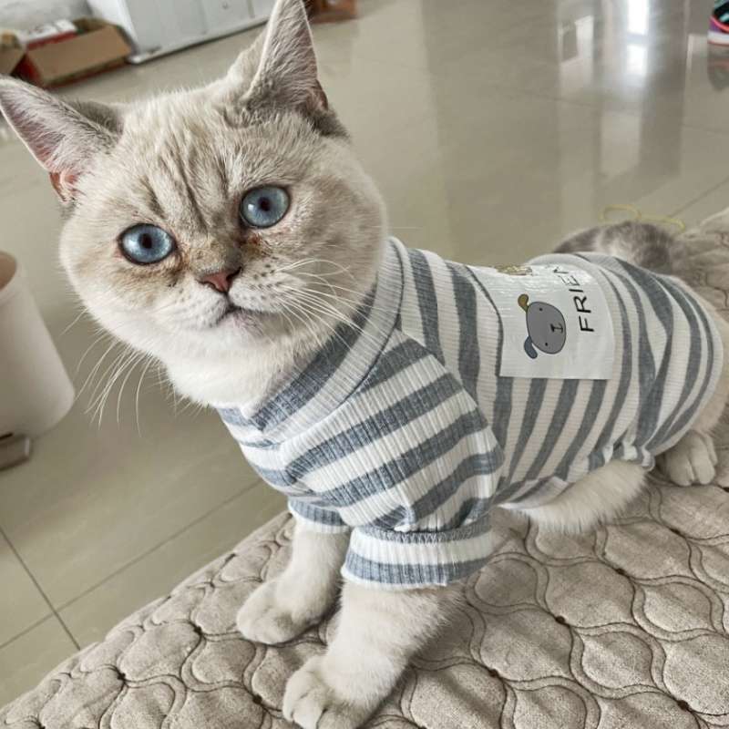 猫服  洋服 | 猫用ボーダー柄パジャマ