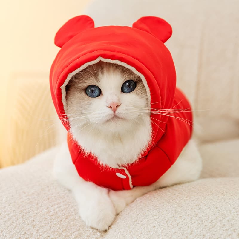 猫服洋服 スポーティラインフード付き猫用パーカー