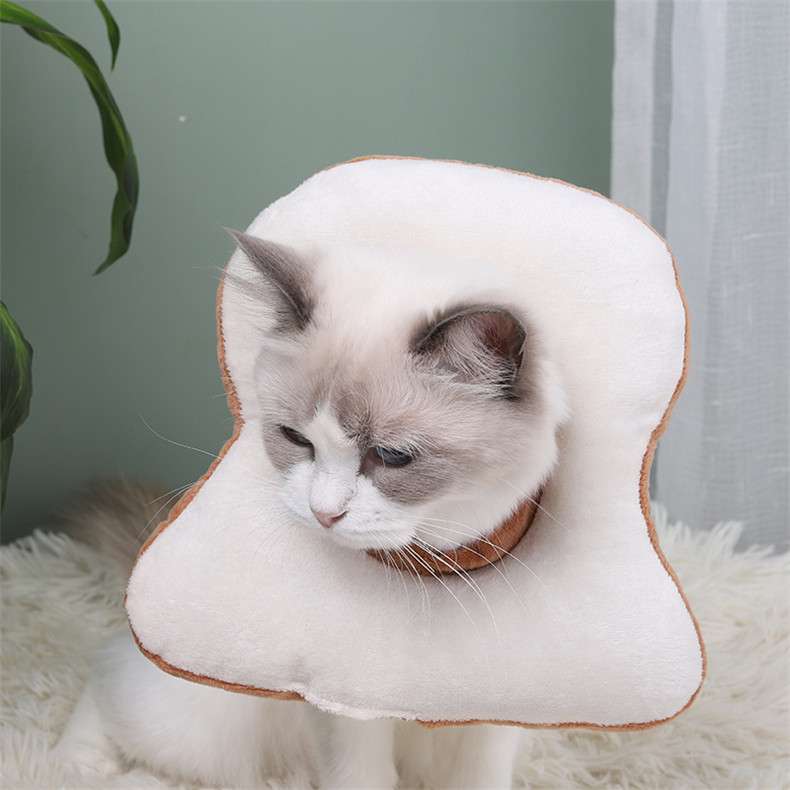 猫服 猫 エリザベスカラー | もふもふペット用食パンカラー