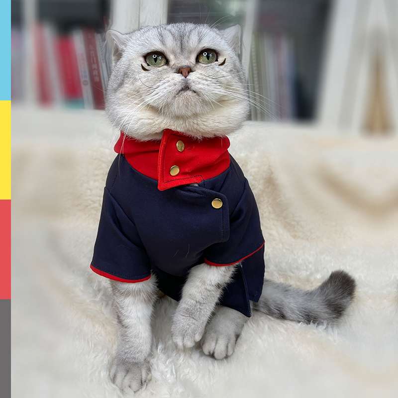 猫服  コスプレ | 愛猫のための海軍風制服コスプレ