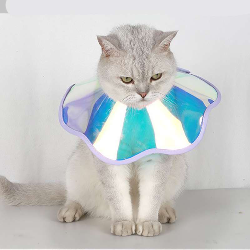 猫服 猫 エリザベスカラー | キラキラ虹色ペットの宇宙エリザベスカラー