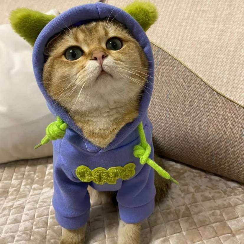 猫服  洋服 | もこもこ耳付きフード付きキャット着ぐるみ
