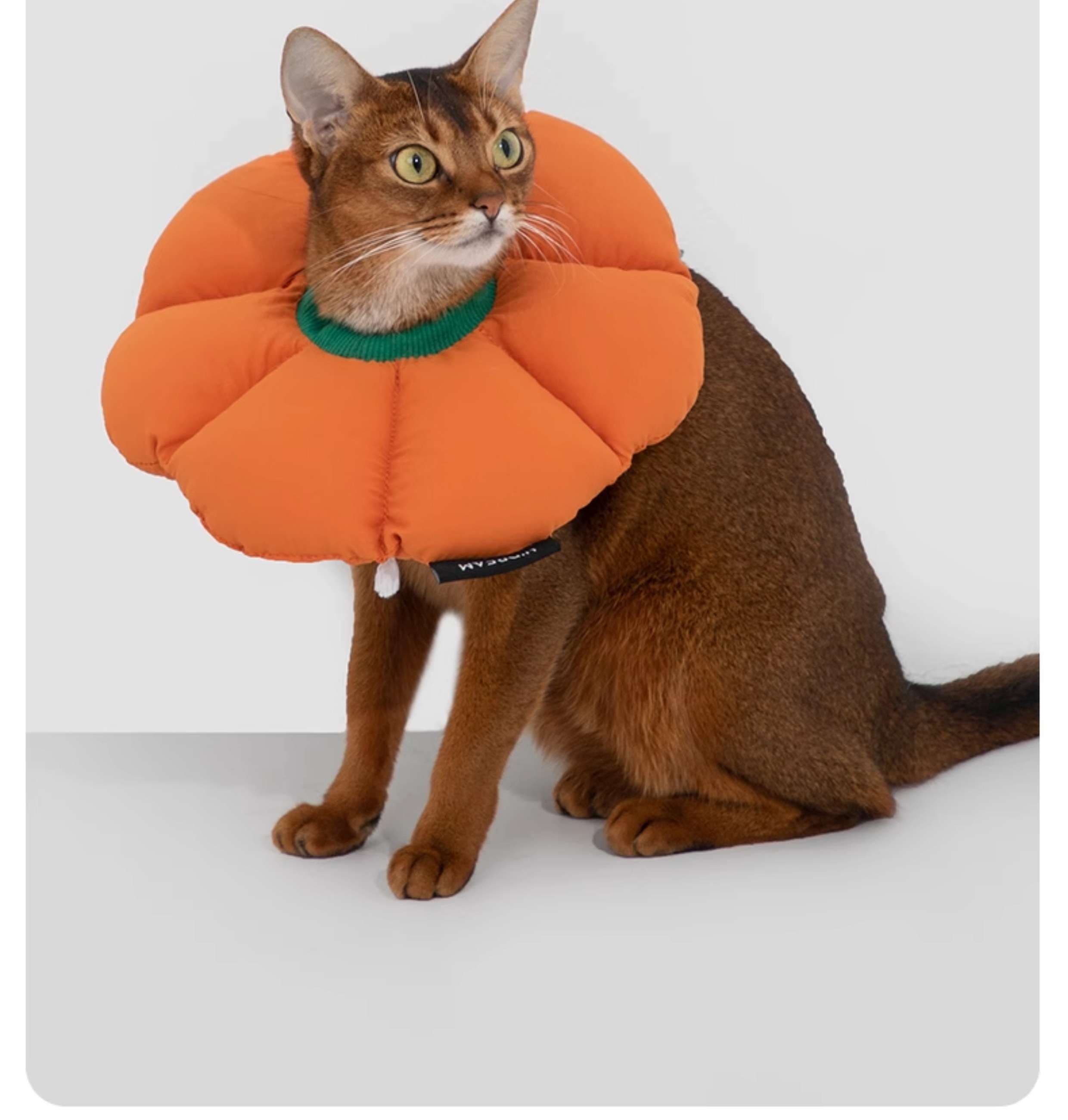 猫服 猫 エリザベスカラー | ふわもこ花びらエリザベスカラー