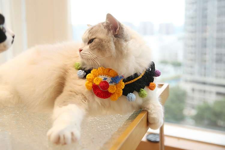 猫服  コスプレ | ハロウィン猫ちゃん用コスチューム