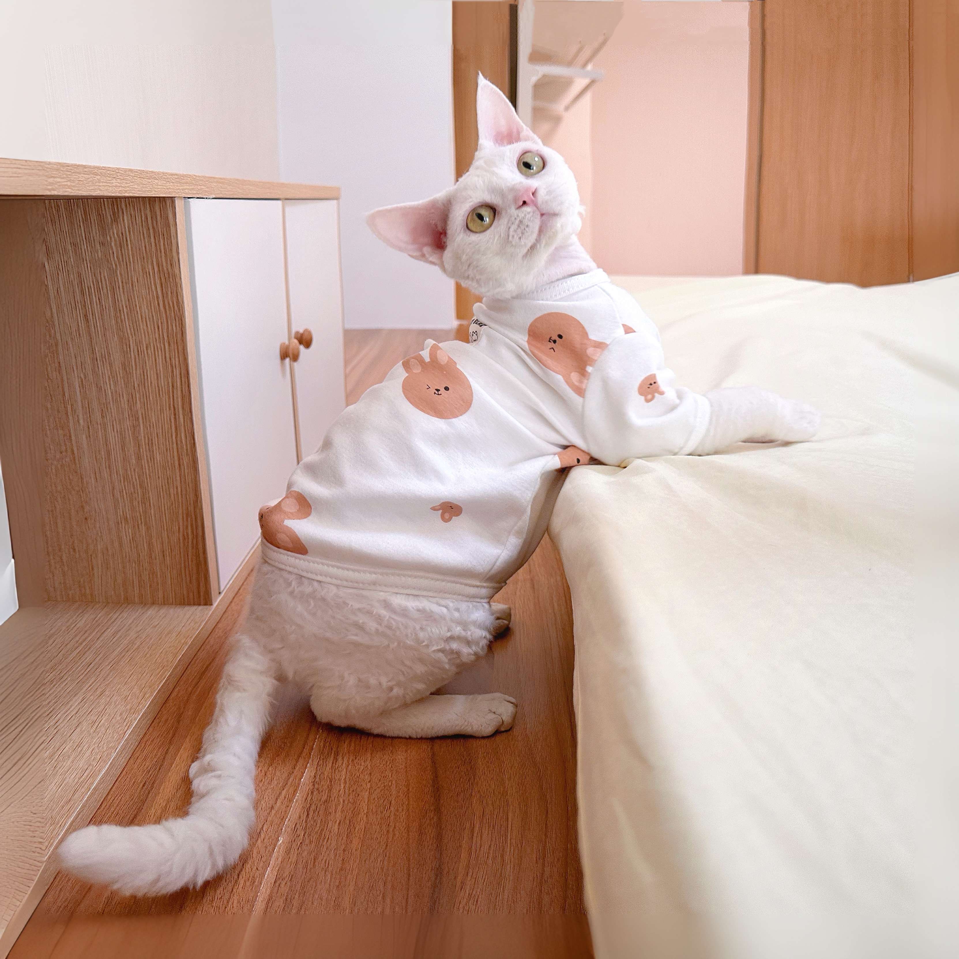 猫服  スフィンクス | もふもふスフィンクス着ぐるみ