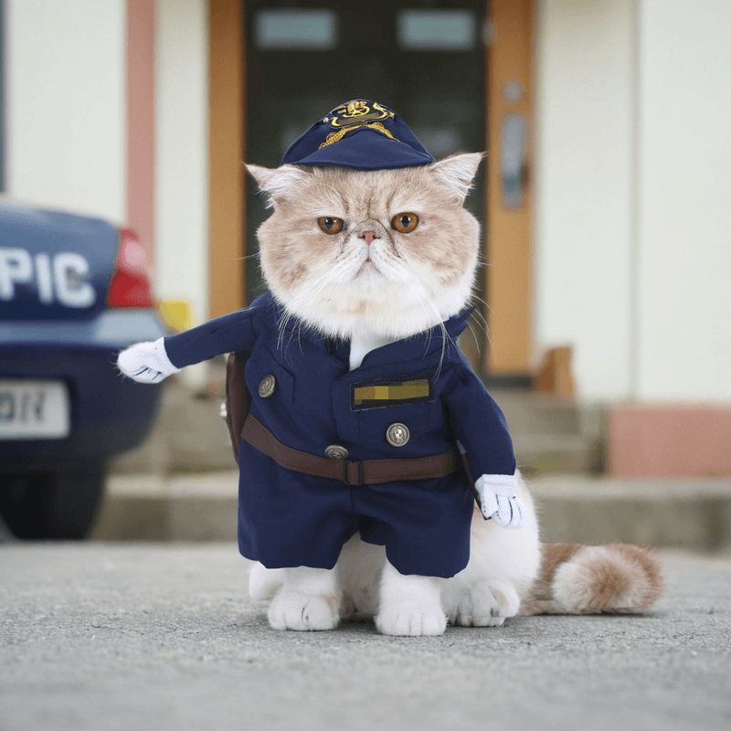 猫服  コスプレ | 猫用職業コスチューム3点セット